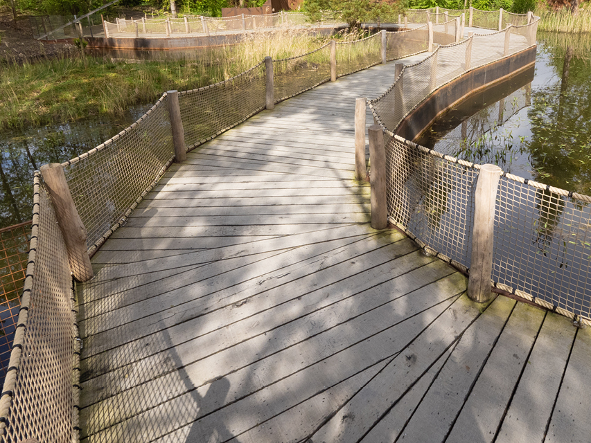 Eikenhouten planken van de Veluwe